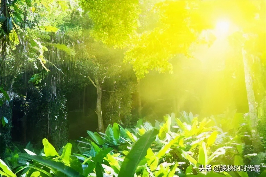 我们以为来日方长,许多时候我们总是以为来日方长