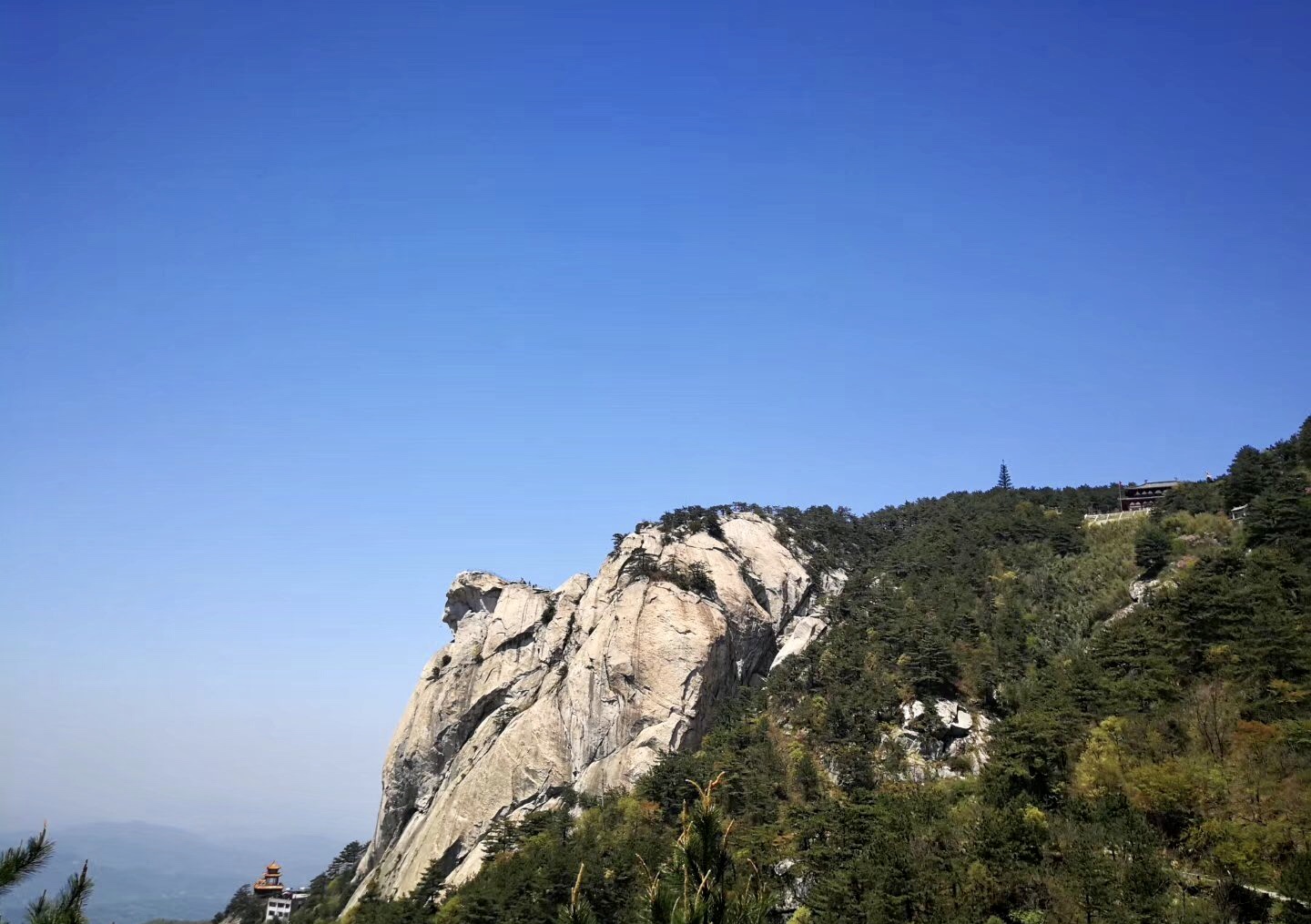 龟峰山天下第一龟照片,这座山长得像什么