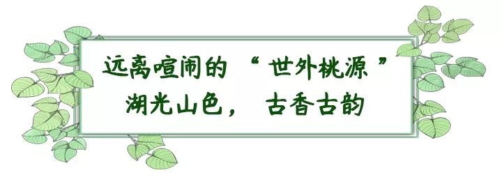 深圳最美簕杜鹃谷公园花海,宝安区花海赏花景点
