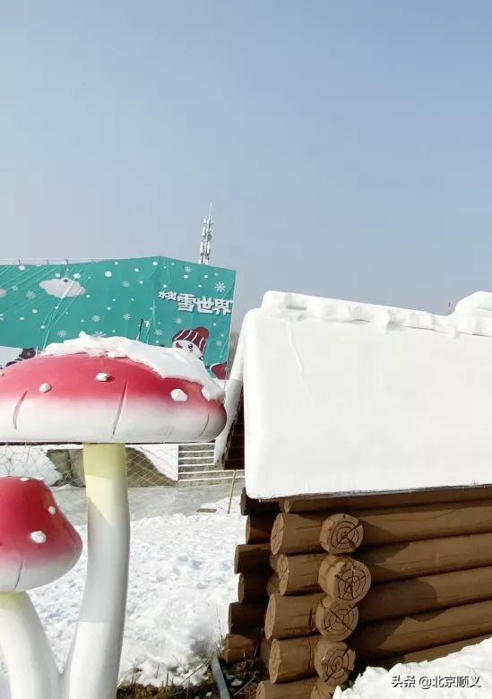 顺义奥林匹克水上公园冰雪嘉年华,激情冰雪在冬季顺义嗨玩享不停