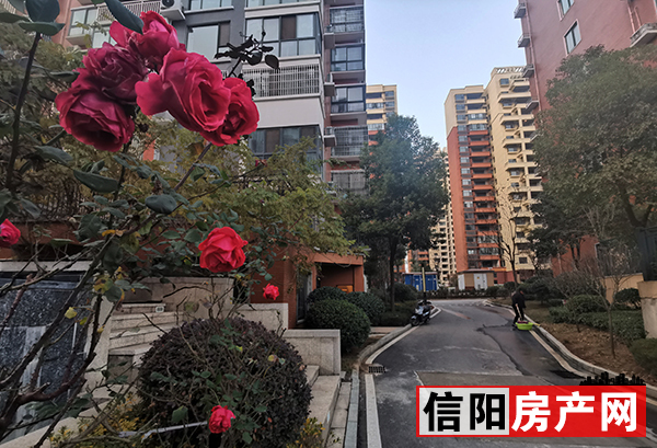 碧海名居银滩,碧海名居一楼