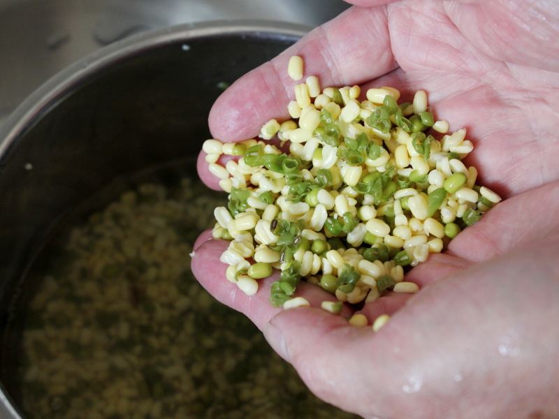 做绿豆糕是用开水还是用温水,煮绿豆糕放多少水