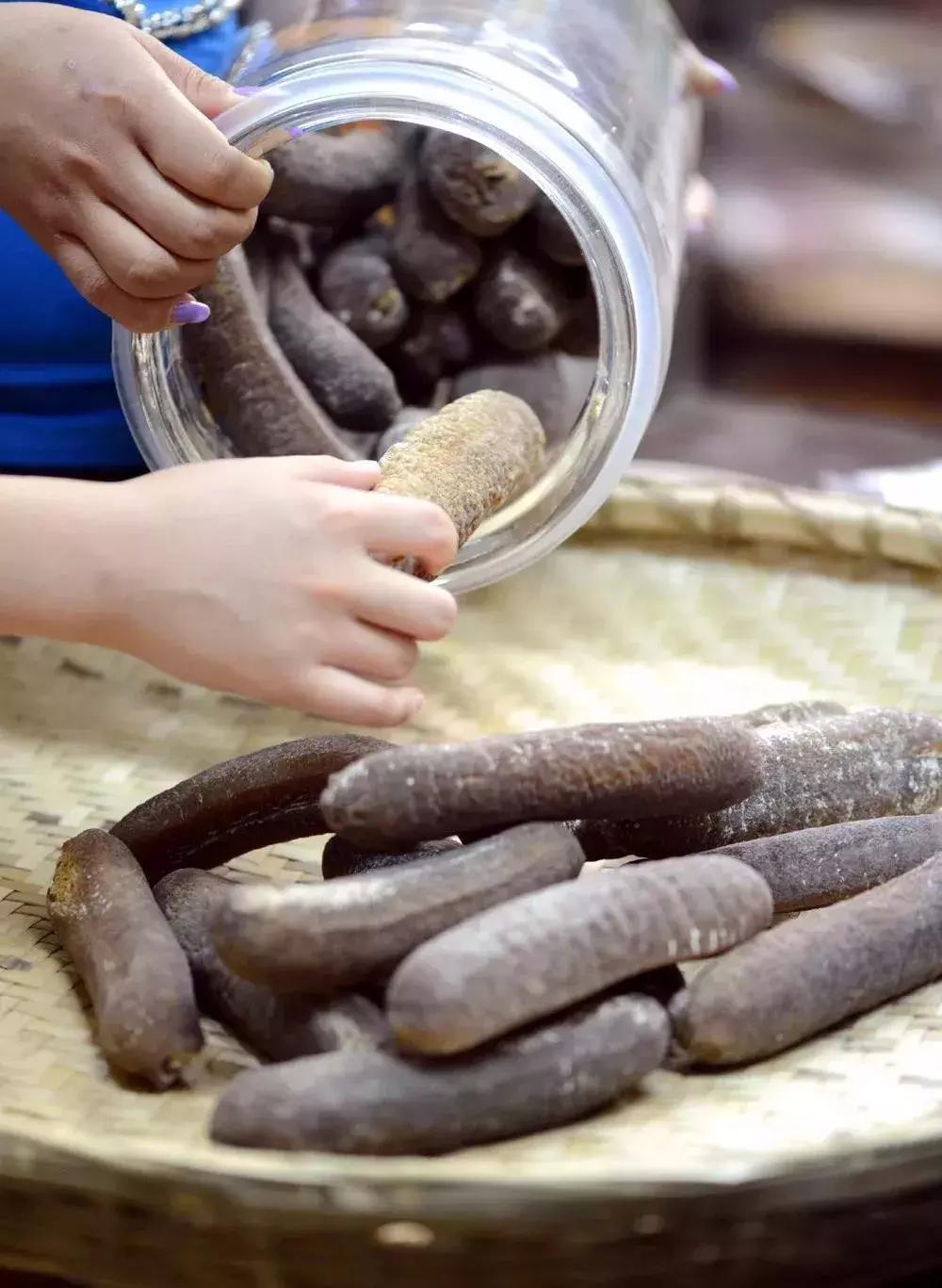 海参的高级介绍,海参营养丰富可你真的了解海参吗