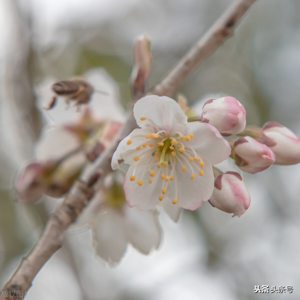 怎么让自己变得开心起来,焦虑症怎样让自己变得开心