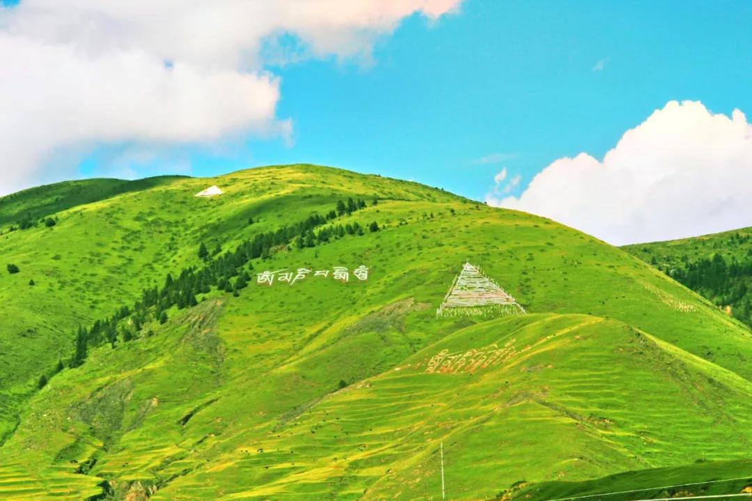3月川西惊艳了所有人,千树万树梨花开川西
