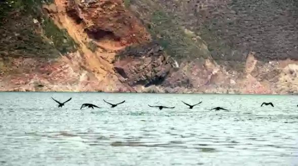 To全世界:灵宝向您发来一封邀请函,请亲启