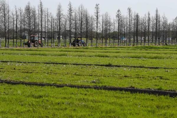 不减产不减量!疫情下,家庭农场主们这样忙活“生意经”