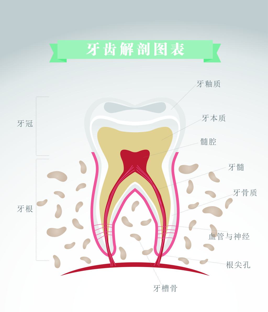 牙齿上了杀神经的药一般会疼几天,牙齿一咬东西就疼治疗多少费用