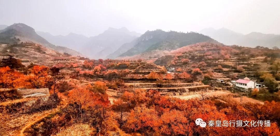 秦皇岛秋天美景,秦皇岛秋天落日和晚风