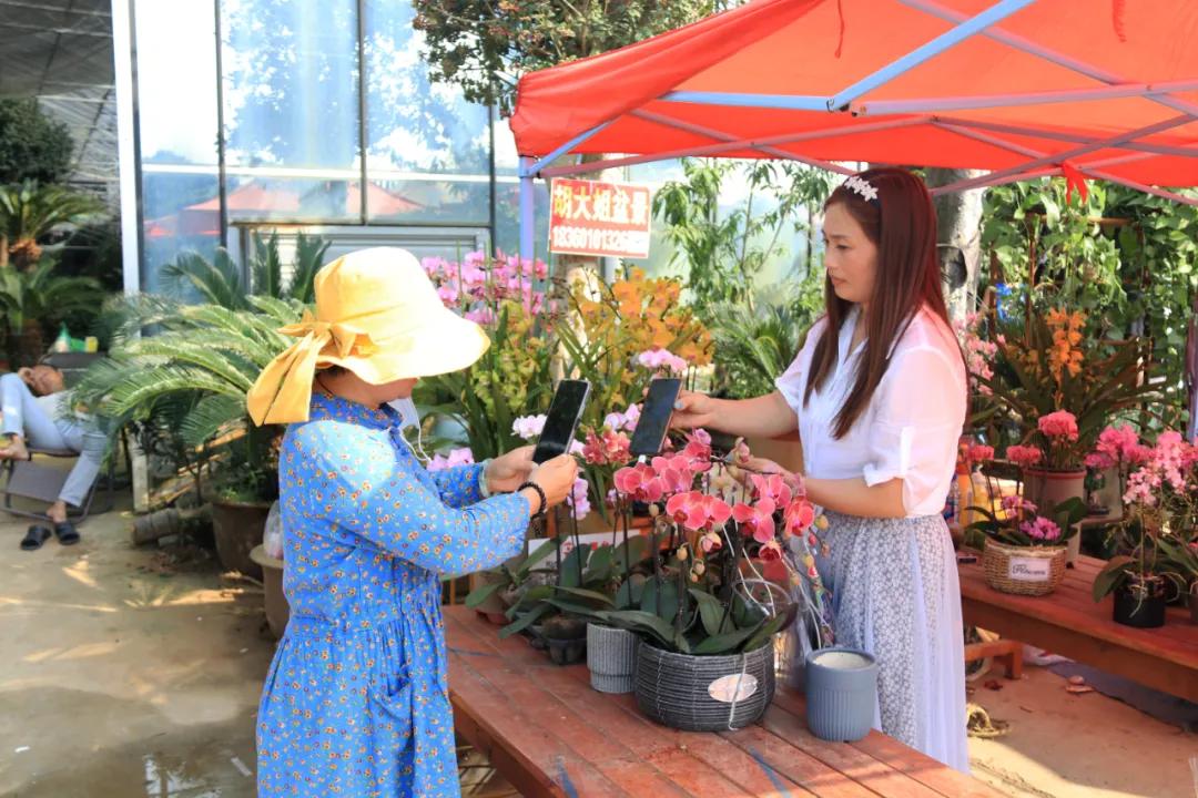 花木盆景活动,秋冬季花木节盆景展