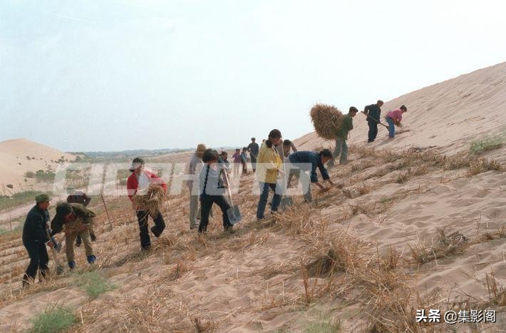 榆林市八十年代 (榆林市制革厂老照片)