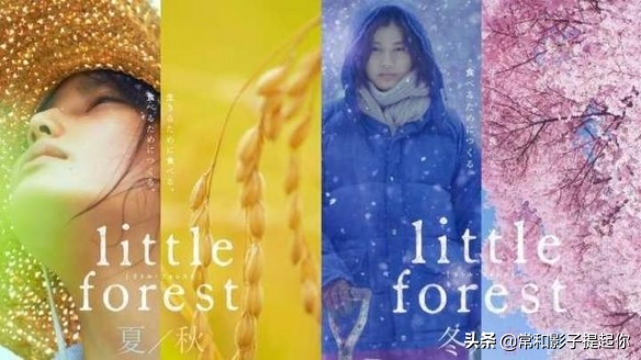 推荐7部非常好看的美食电视剧,中国美食vs美国美食电影