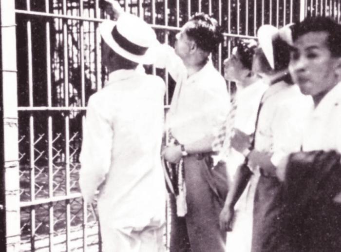 一头来自泰国的黑豹，让整个东京骚乱12个小时，日本人都不敢出门