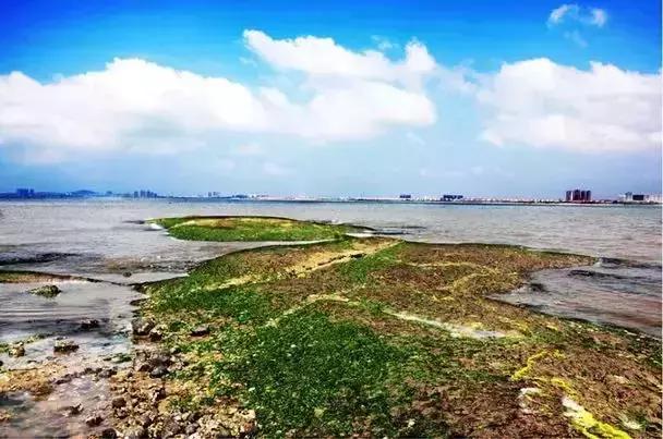 你心目中的乳山是什么样子的？