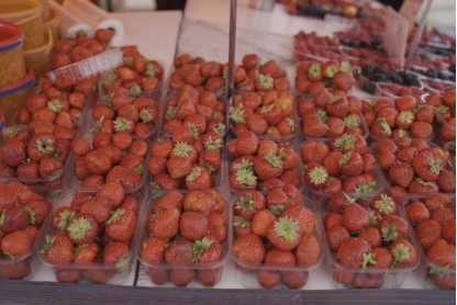 北活游记|来源于自然的食物，都比想象中的更美味，比如芬兰