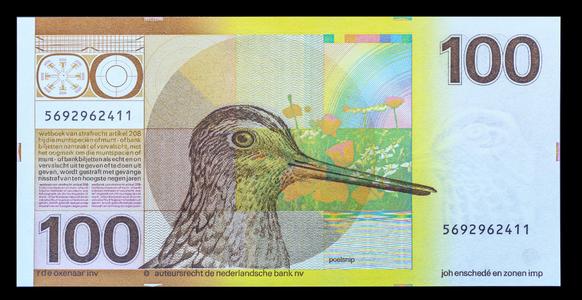 荷兰美景的照片,好看的荷兰风景图