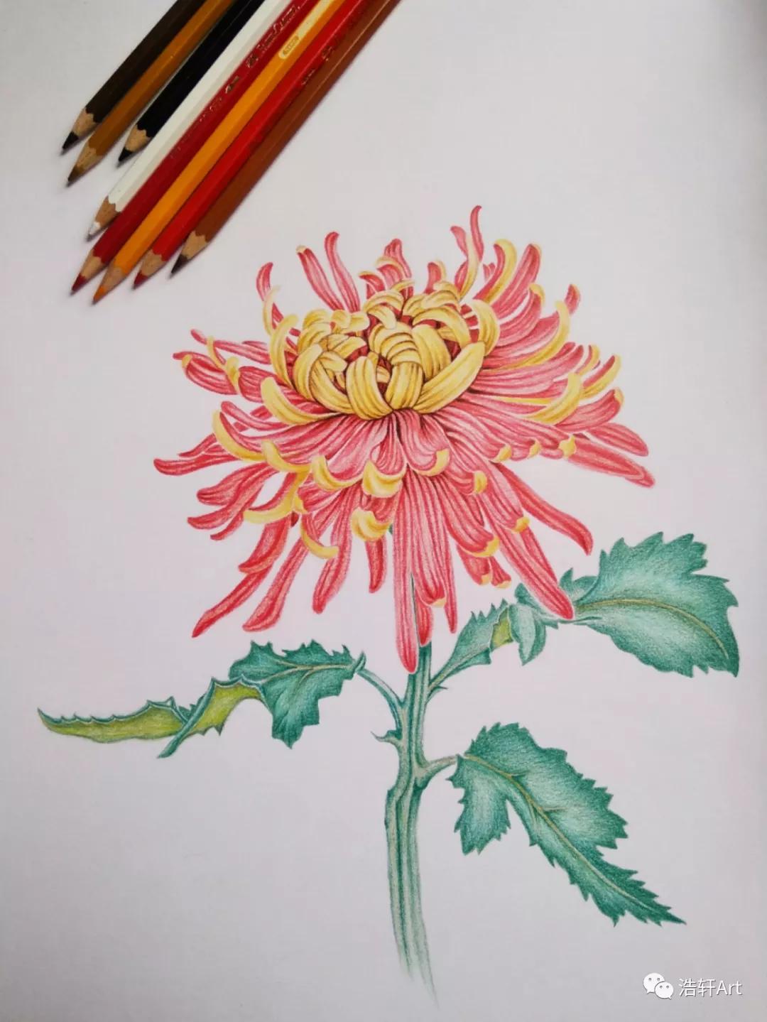 心中有画,心中有画下一句是什么