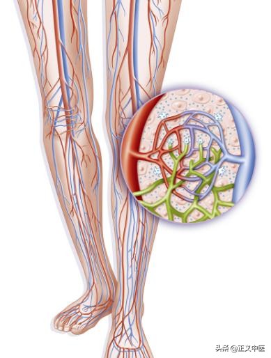 卫气和营血是怎么造成的,卫气营血分别代表什么