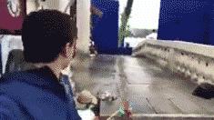 在野外发现甘蔗,在山里发现甘蔗