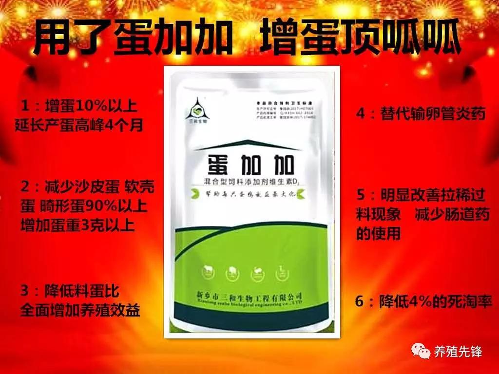 蛋鸡产蛋高峰管理方法,蛋鸡产蛋高峰期怎么养