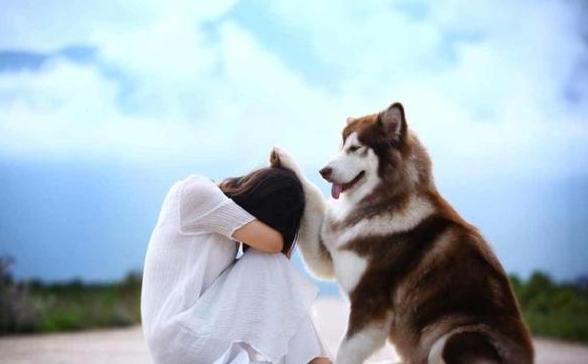 被别人误会变态了怎么办,被误认为是变态怎么办