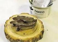 日本昆虫零食贩卖机,日本活体昆虫自助售卖机