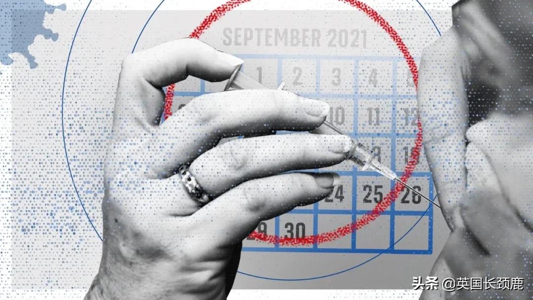 鲍里斯对英国的态度,英国鲍里斯现在怎样了