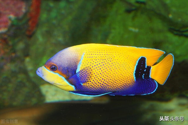 天津塘沽发展历史,天津塘沽区发展历史