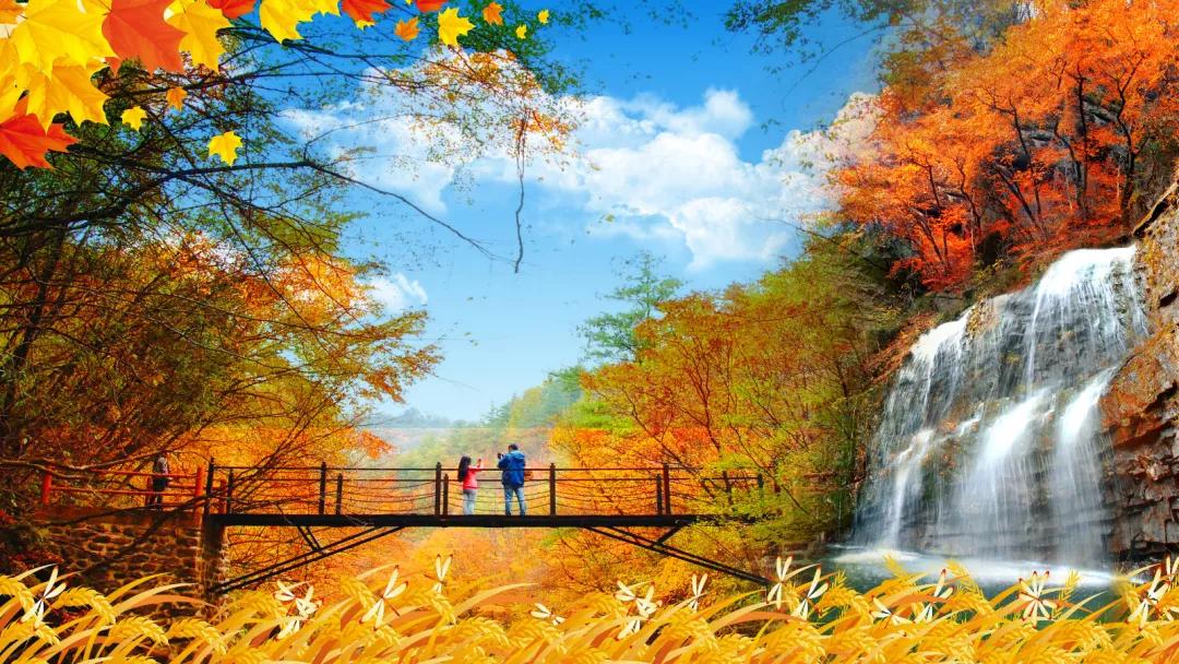 陕西汉中黎坪红叶,汉中黎坪红叶免费