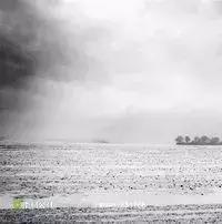 怀孕一个多月老是流血什么情况,怀孕三个月老是出血怎么办