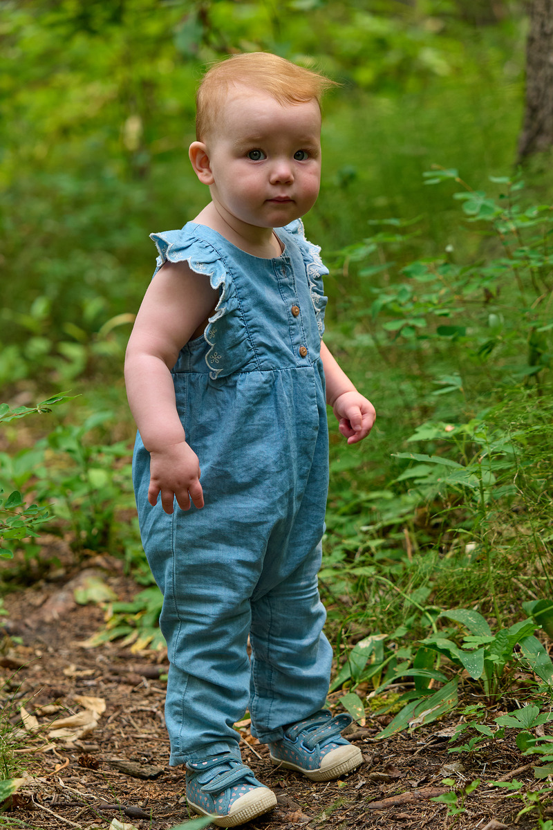 适马sigma60-600mm拍月亮,适马sigma18-50mmf2.8dcdn测评