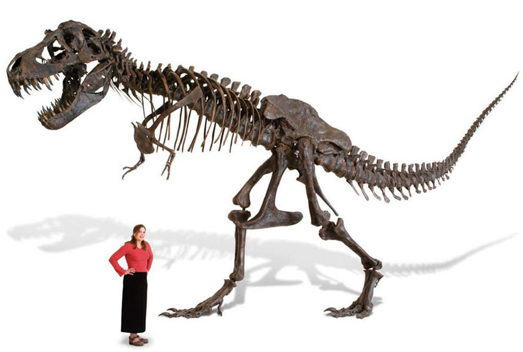 如果地球上同时出现500亿只霸王龙,假如地球出现500万亿只霸王龙