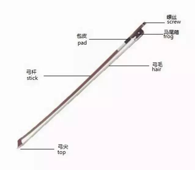 小提琴回顾,小提琴的基本介绍