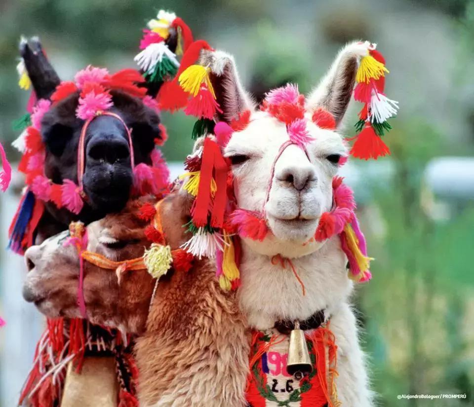 原来秘鲁的历史有那么长长长长长长长长长