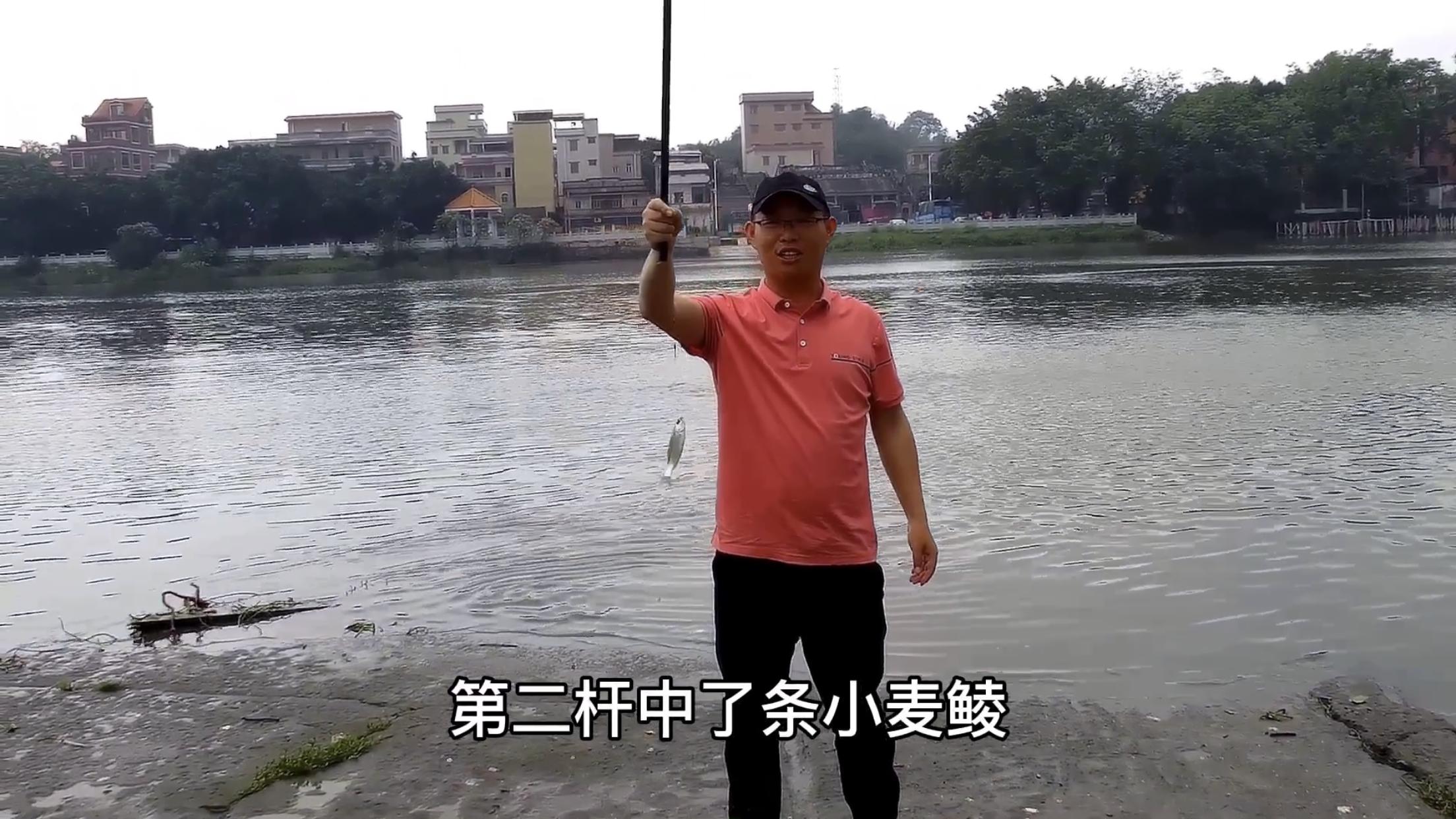 调平水时双钩压不下目数该怎么办,浮漂空钩调平水钓二目视频