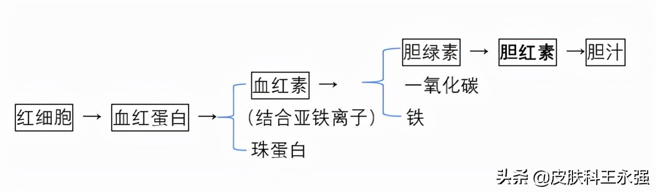 胆红素偏高会得什么病新生儿,胆红素偏高会得什么病
