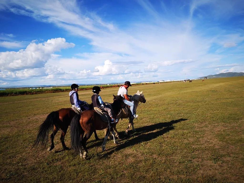 亲子成长夏令营,亲子夏令营招募江苏