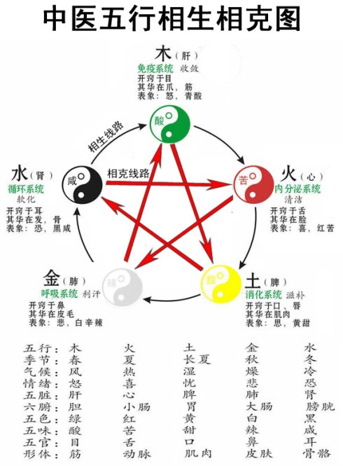 中医的五行和周易的五行,中医说五行