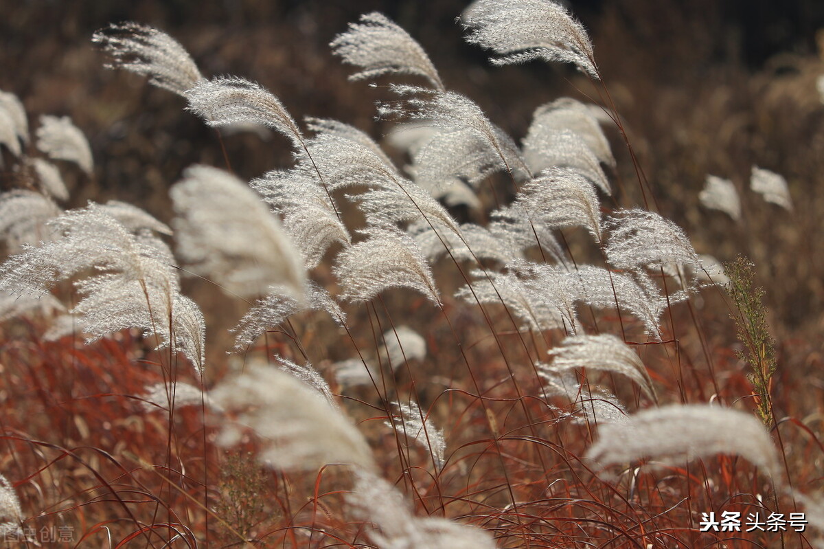 急脾气按摩什么穴位,怎么应对急脾气的人