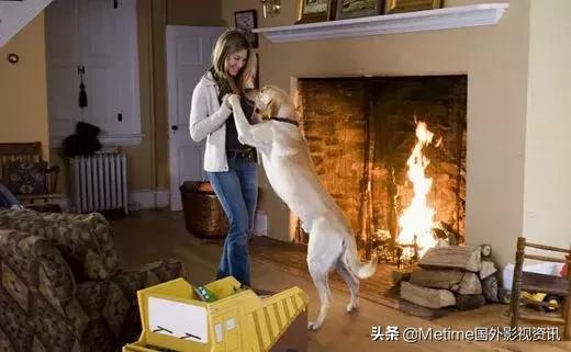 推荐20部永不过时的励志电影,推荐给年轻人的10部励志电影