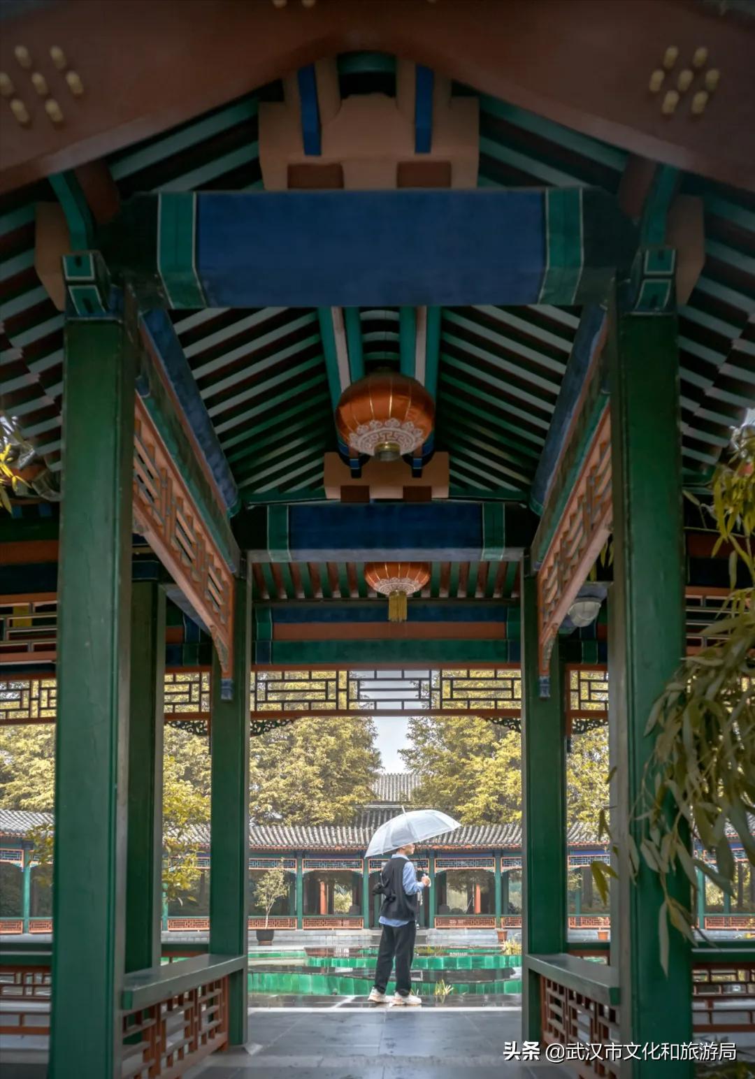 花young官方购票,花young套餐29元103g联通