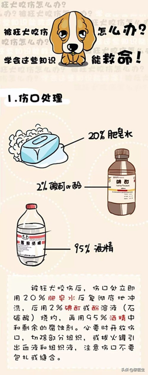 3岁孩子被狗狗咬伤该怎样办,狗咬伤小孩该怎样赔偿