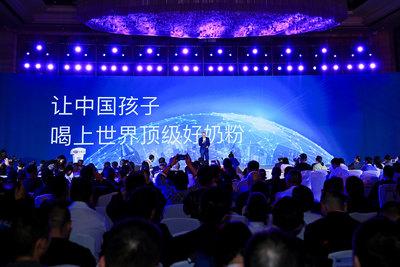 海淘奶粉进入中国,海淘发展历程