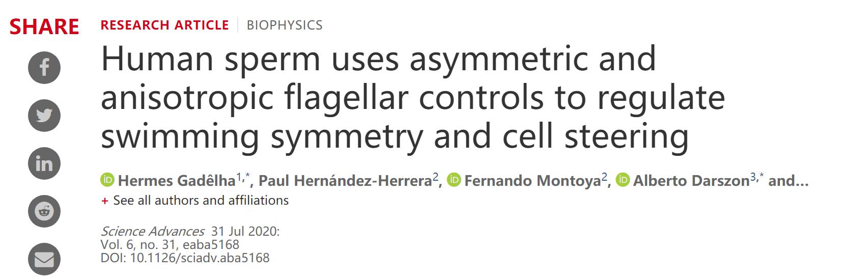错了340年，精子游泳的方式并不是左右摆动尾巴