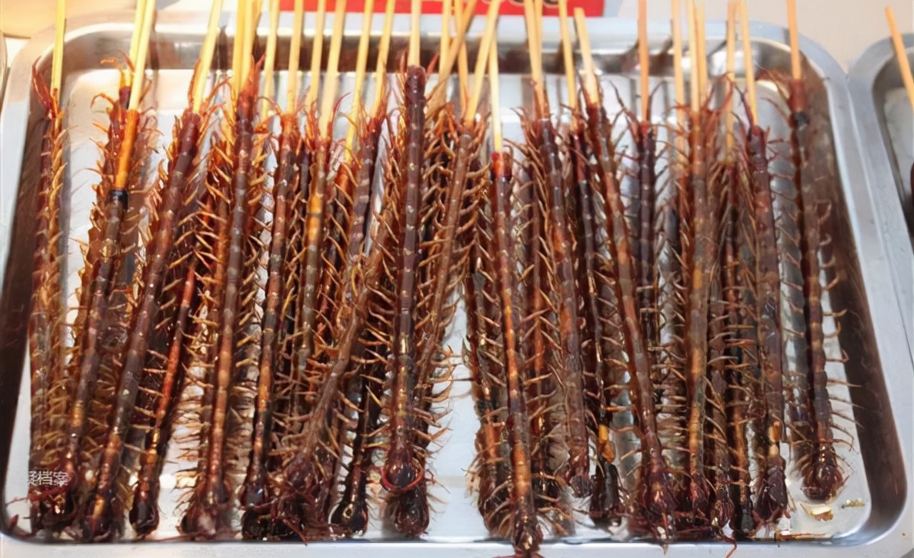 最大蜈蚣捕食,巨型蜈蚣捕食的全过程