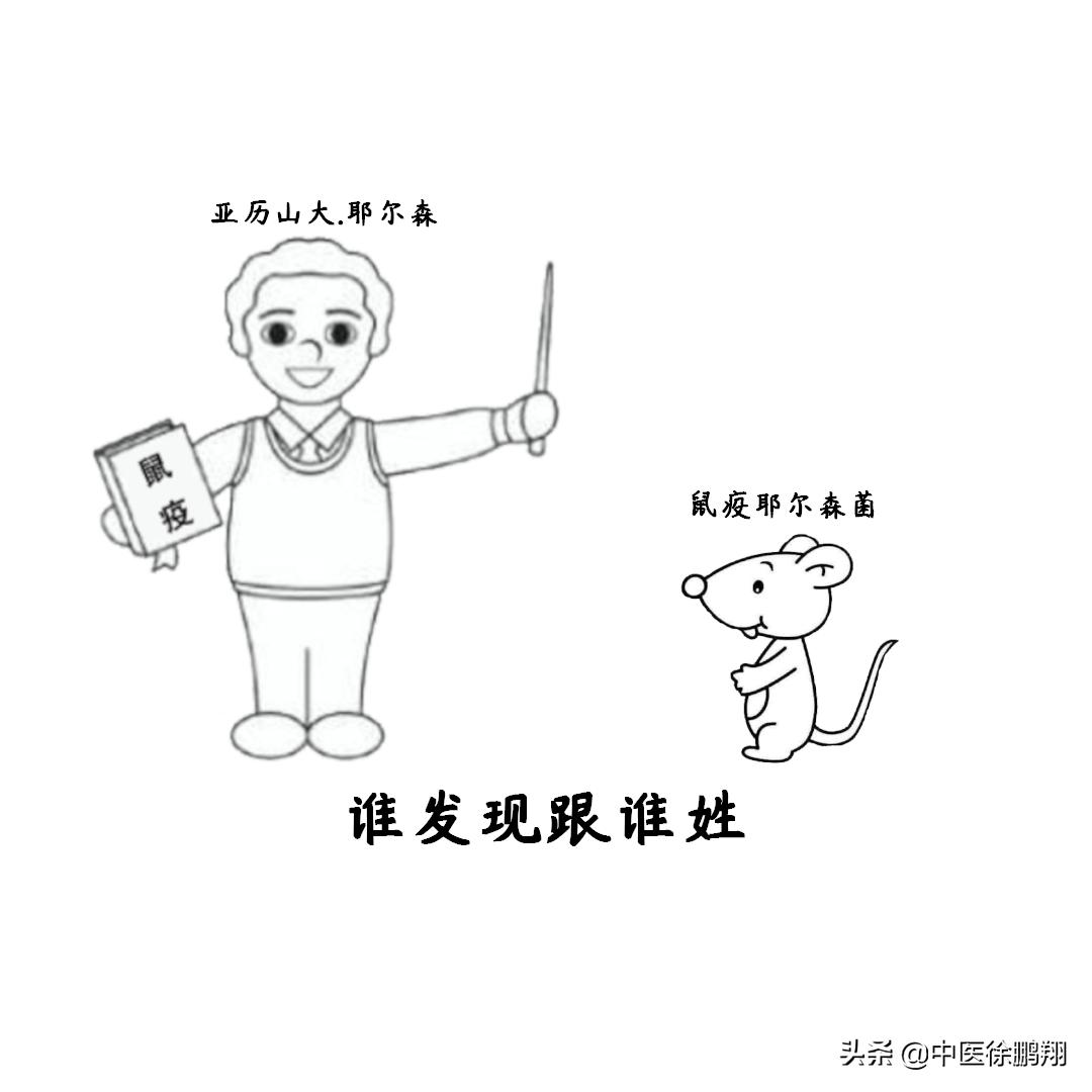 鼠疫最新事件新闻科普,鼠疫科普