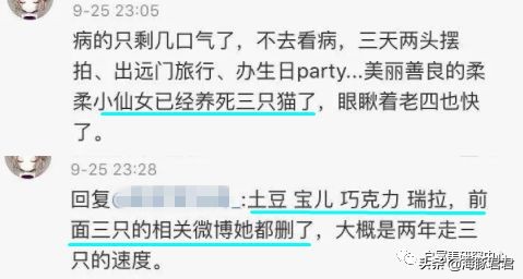 北京小公主靠吸猫血成百万大V,直播整容、大照骗、2年养死3只猫