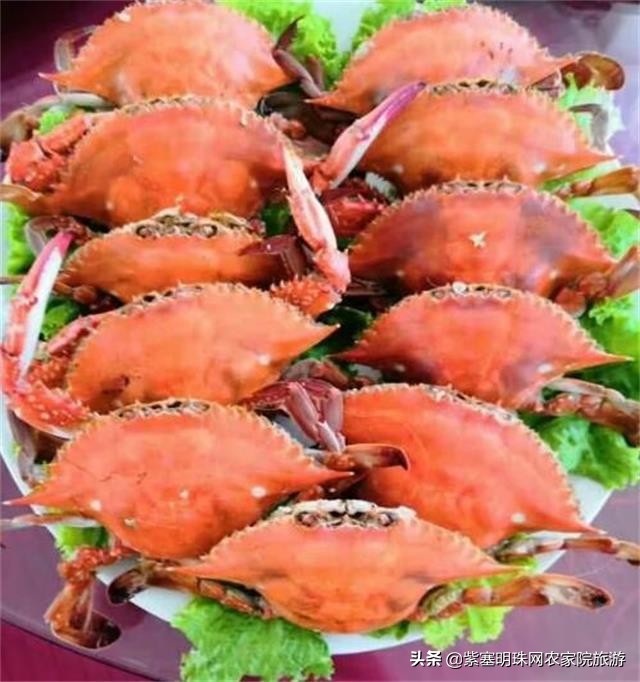 您的小资生活只差来到辽宁东戴河千玺度假庄园，体验乡村之美！