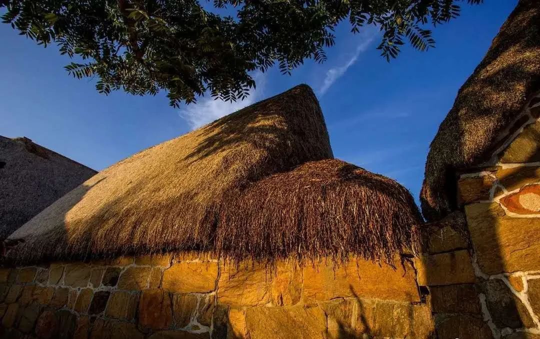 种草一个被遗忘的小岛，背山靠海，拥有山东最美的“童话屋”，美到窒息！