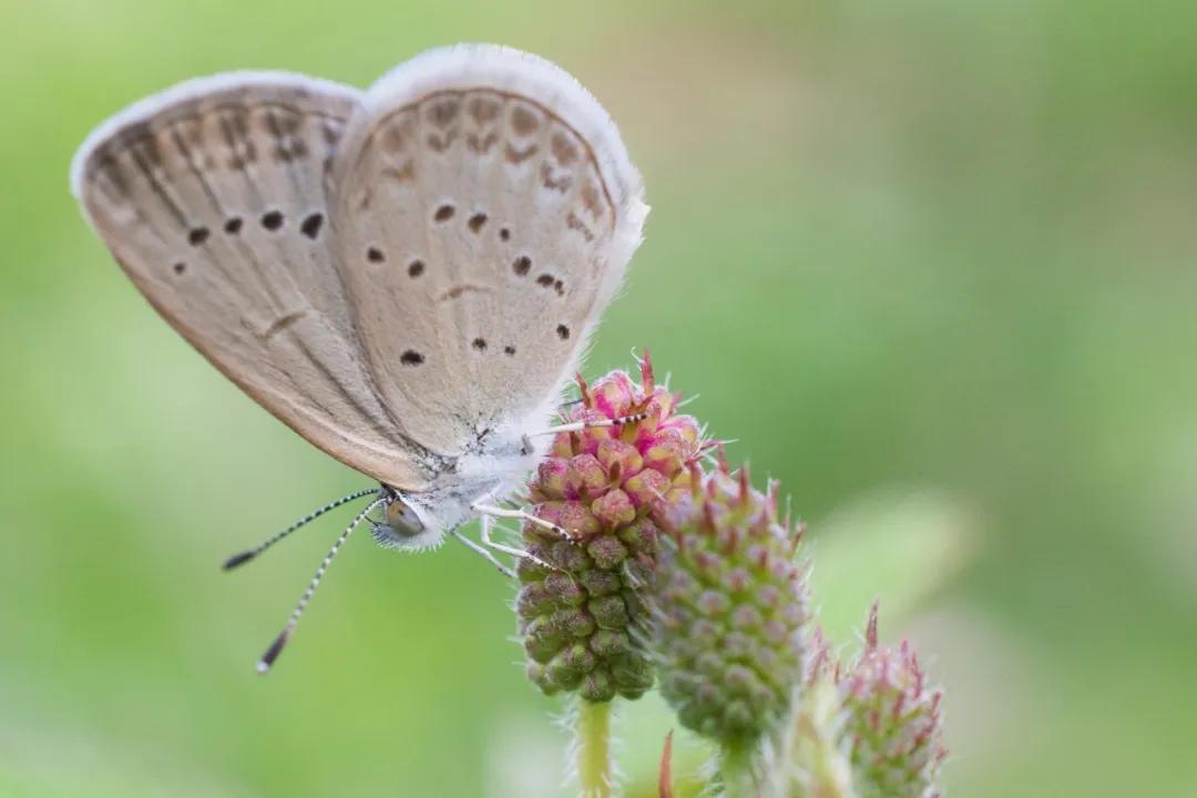 最经典最值得背的古文大全,最难背的十篇古文